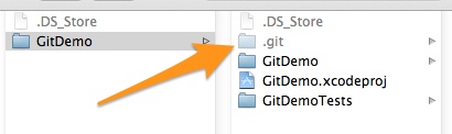 Version Control Xcode GIT Directory