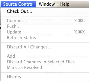 Version Control Disable Source Control