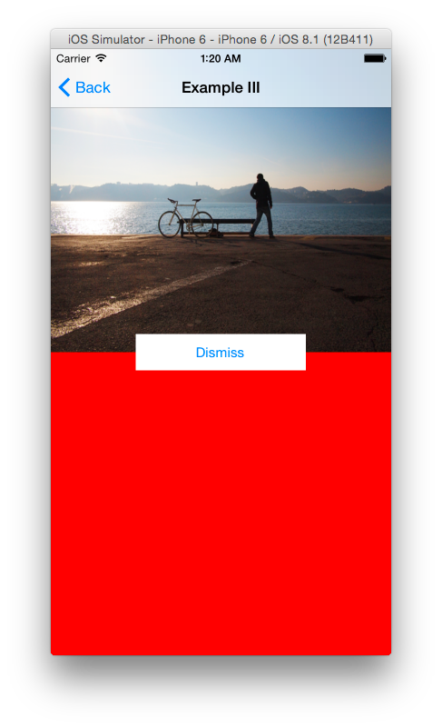 Creating Simple View Animations in Swift | iOS Tutorial