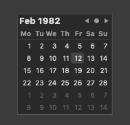 Date Picker Graphical